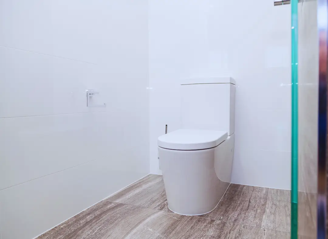 Remplacement de wc Rives-du-Loir-en-Anjou