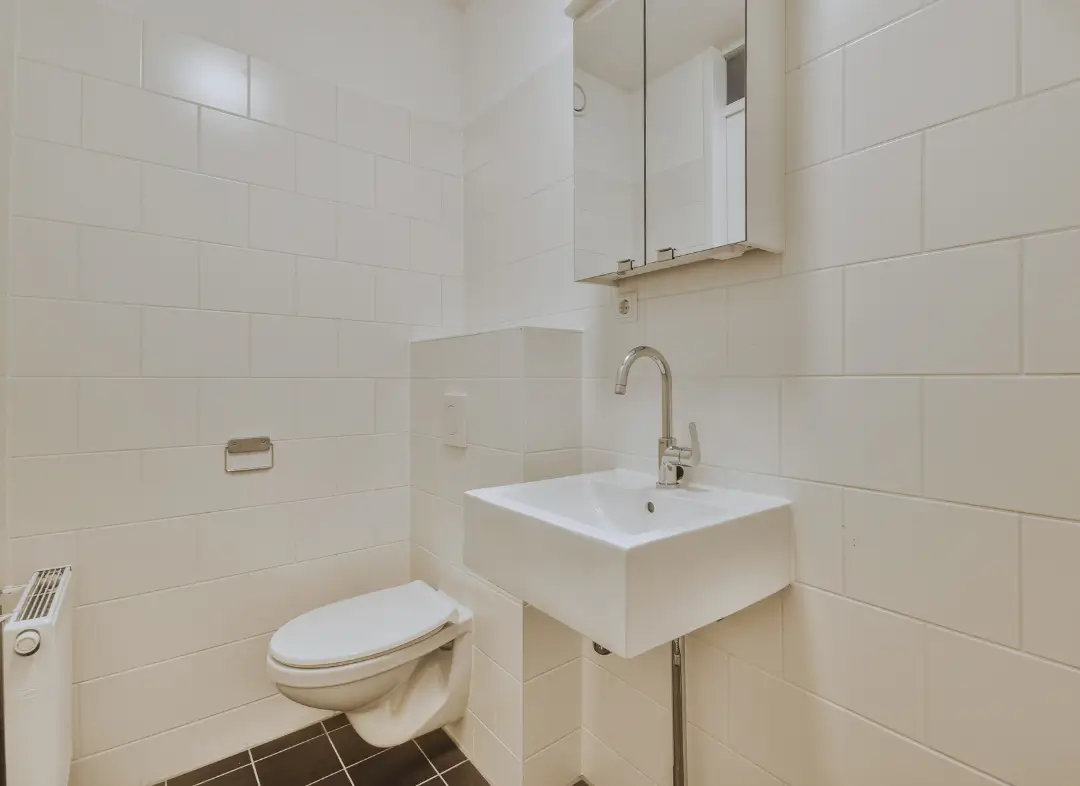 Pose WC Suspendu Rives-du-Loir-en-Anjou